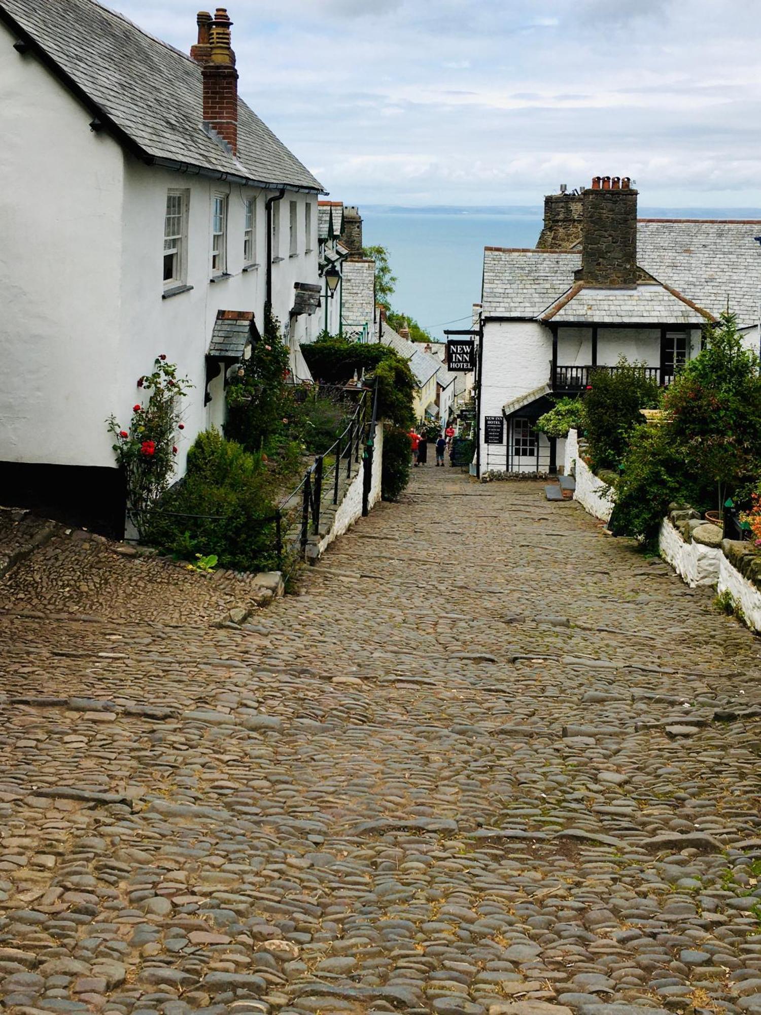 Petrock Holiday Cottages Newton Saint Petrock Экстерьер фото