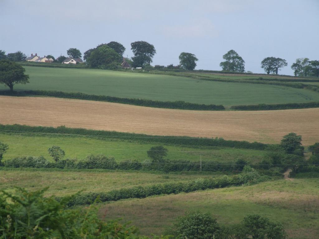 Petrock Holiday Cottages Newton Saint Petrock Экстерьер фото